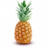 PINEAPPLE – FOR WEIGHT MAINTENANCE